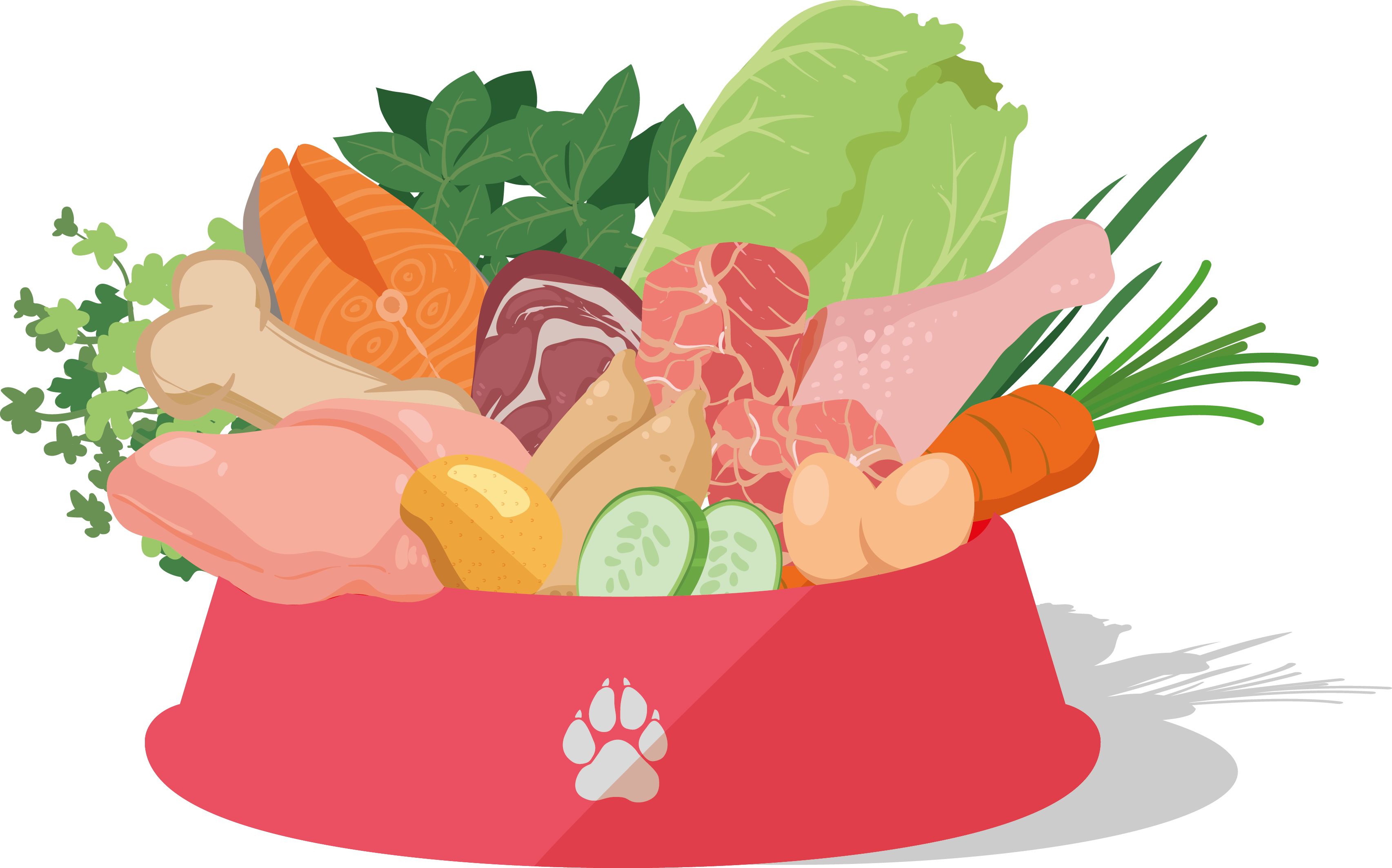 Dear Paw slow-cooked pet food illustration