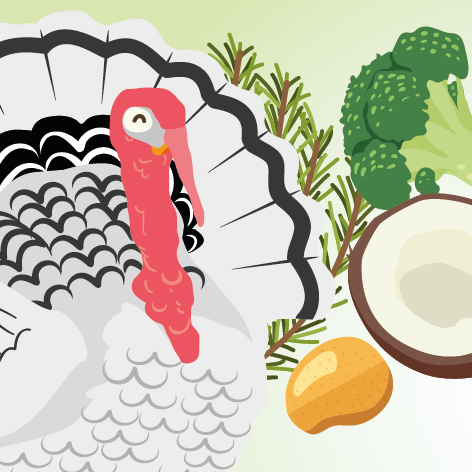 Turkey Recipe