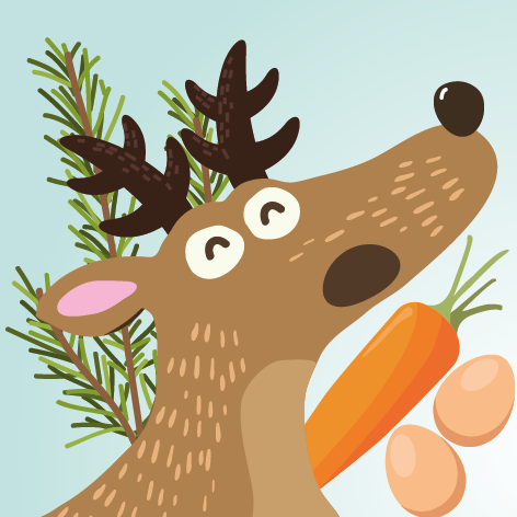 Venison Recipe
